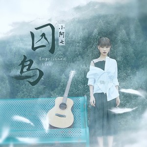 小阿七 - 囚鸟