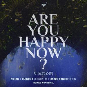 希林娜依高&R3HAB&Crazy Donkey金大智《Are You Happy Now(R3HAB VIP Remix)》[MP3_LRC]