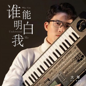 大笨 - 谁能明白我