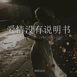 欧阳辰玥 - 爱情没有说明书