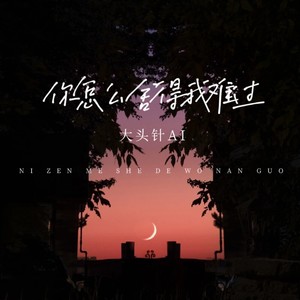 大头针 Official《你怎么舍得我难过》