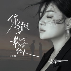 龙翼 - 你错过了最爱的人