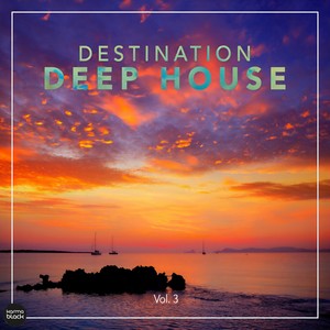 Otamoo - The Source