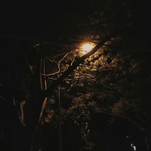EDM大魔王 - 旧金山