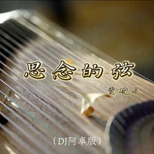 贾晓龙 - 思念的弦