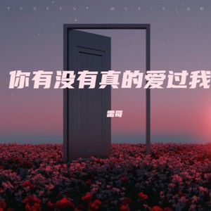 雷哥 - 你有没有真的爱过我