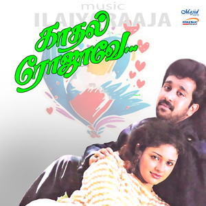 Ilaiyaraaja&Vaali&Muthulingam&Vaasan&S. P. Balasubrahmanyam&Sujatha Mohan《Thottu Thottu Pallakku》[MP3_LRC]