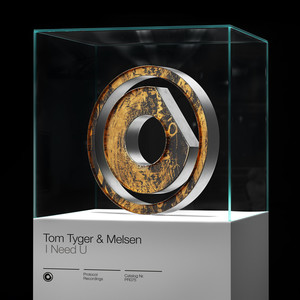 Tom Tyger&Melsen《I Need U》[MP3_LRC]