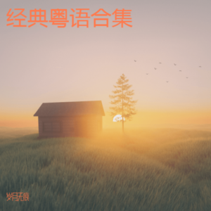 岁月无痕 - 鸽子情缘 (cover: 刘德华)