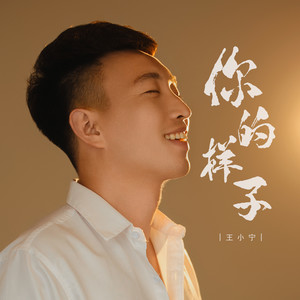 王小宁 - 你的样子