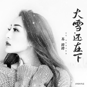 苏谭谭 - 大雪还在下