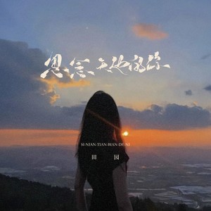 田园 - 思念天边的你(DJ长梦版)