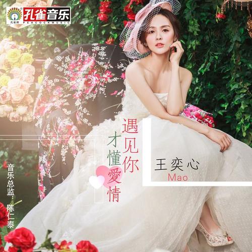 遇见你才懂爱情 - 王奕心