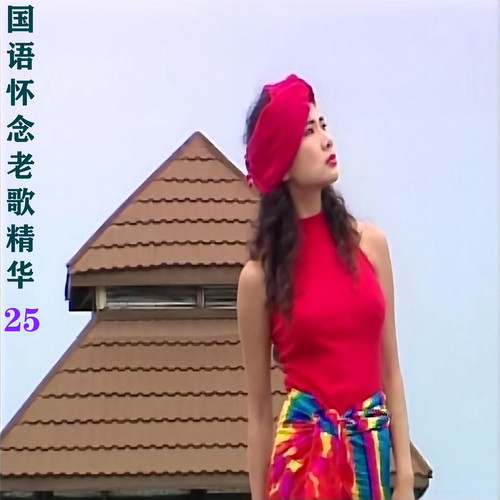 国语怀念老歌精华 25