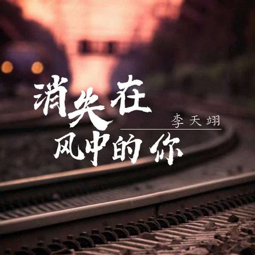 消失在风中的你(伴奏)_李天翊_单曲在线试听_酷我音乐