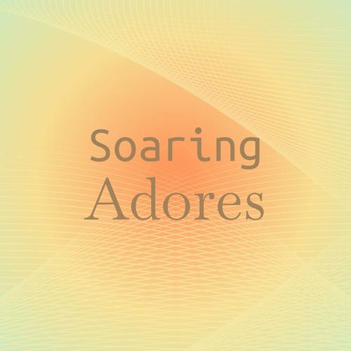 Soaring Adores