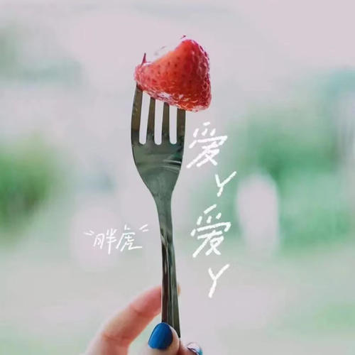 爱丫爱丫(DJ野马版) - 胖虎（董欣怡）&DJ野马