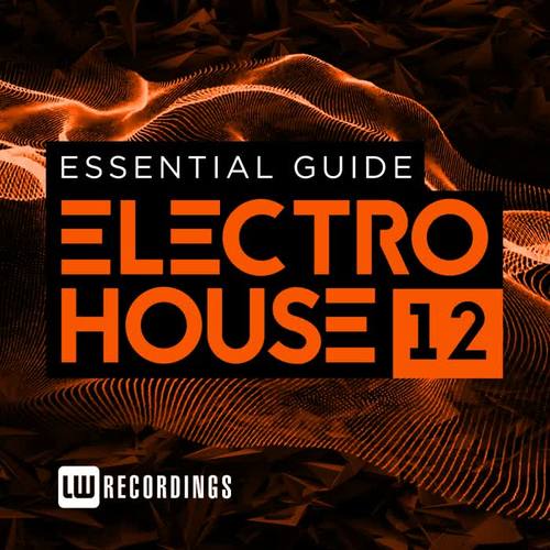 Essential Guide: Electro House, Vol. 12