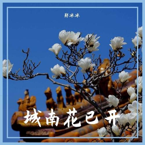 城南花已开（纯音乐） - 郑冰冰