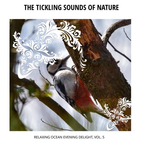 The Tickling Sounds of Nature - Relaxing Ocean Evening Delight, Vol. 5
