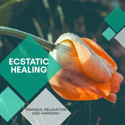Ecstatic Healing - Tranquil Relaxation And Harmony