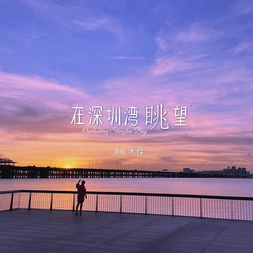 在深圳湾眺望