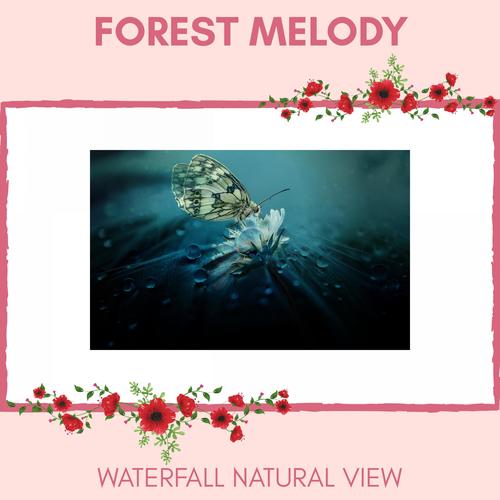 Forest Melody - Waterfall Natural View