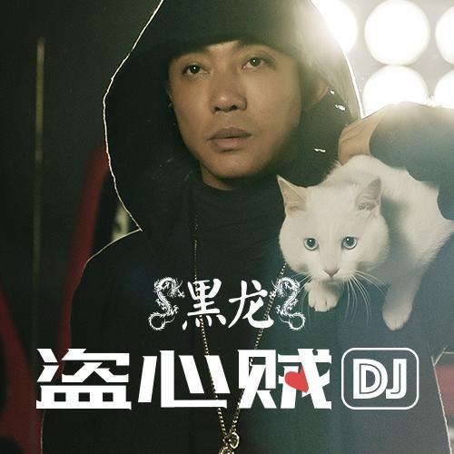 盗心贼(DJ阿亮版) - 黑龙
