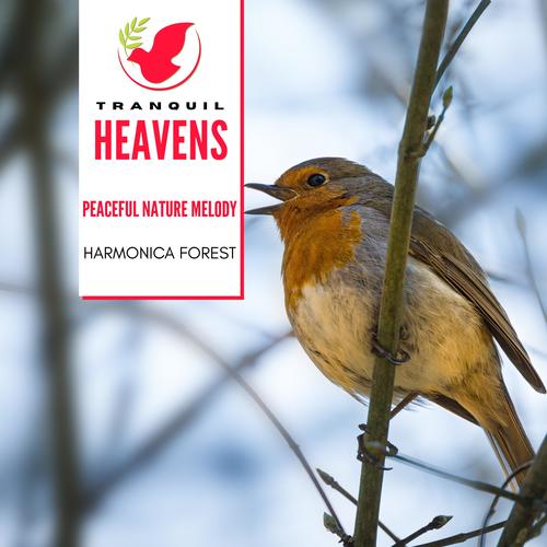 Peaceful Nature Melody - Harmonica Forest