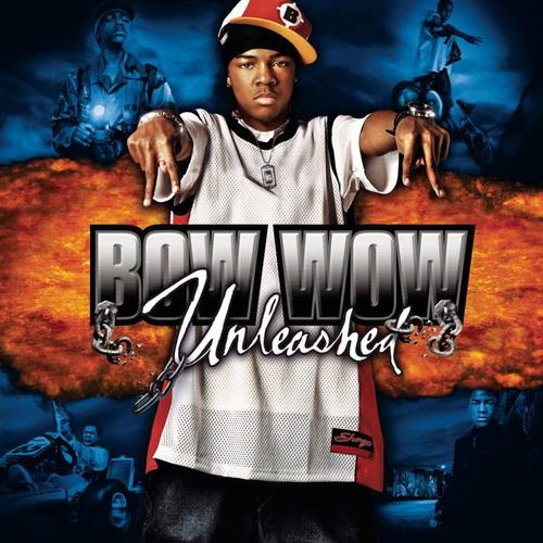 for bow wow between his second and third albums (doggy bag and