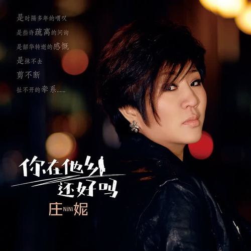 你在他乡还好吗(DJ阿远版)