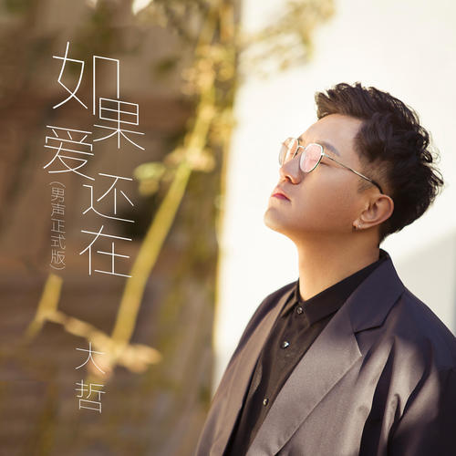 大哲-如果爱还在.flac 下载插图