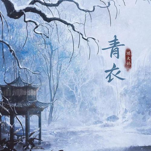 青衣(新版) - 琪大妈