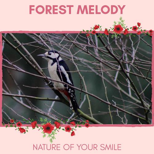 Forest Melody - Nature of Your Smile