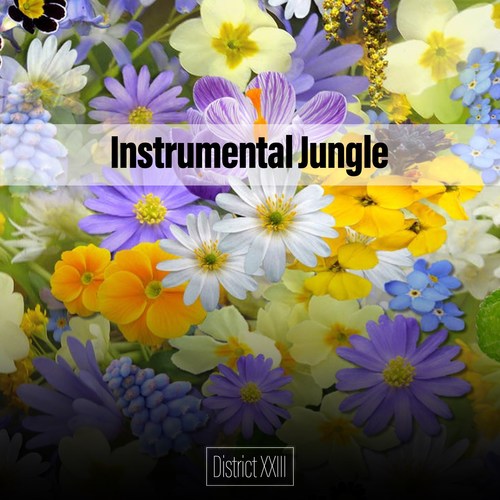 Instrumental Jungle District XXIII