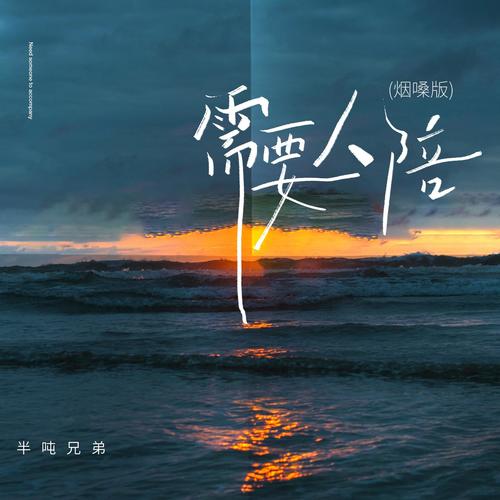 半吨兄弟- 需要人陪 (烟嗓版).flac 下载插图