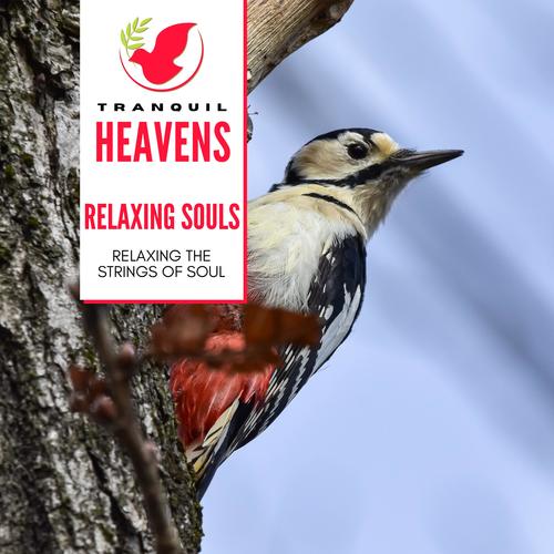 Relaxing Souls - Relaxing the Strings of Soul