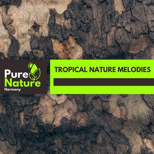 Tropical Nature Melodies