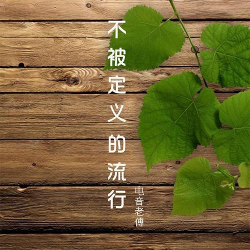 我就中意你啊 - 电音老傅