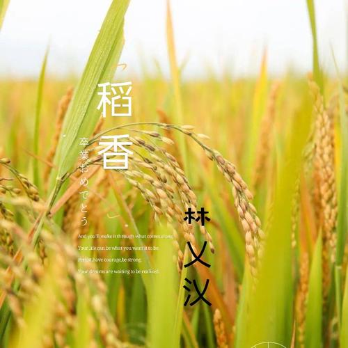 稻香(cover: 冯嘉怡)