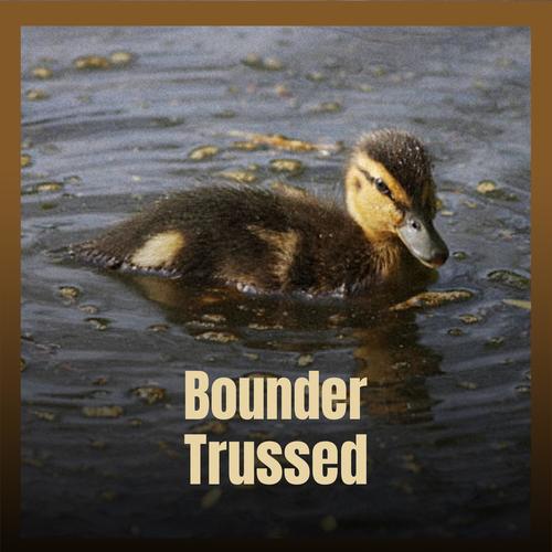Bounder Trussed