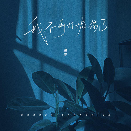 我不再打扰你了(谌宥)