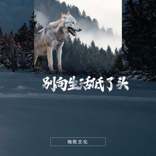 专辑简介 别向生活低了头