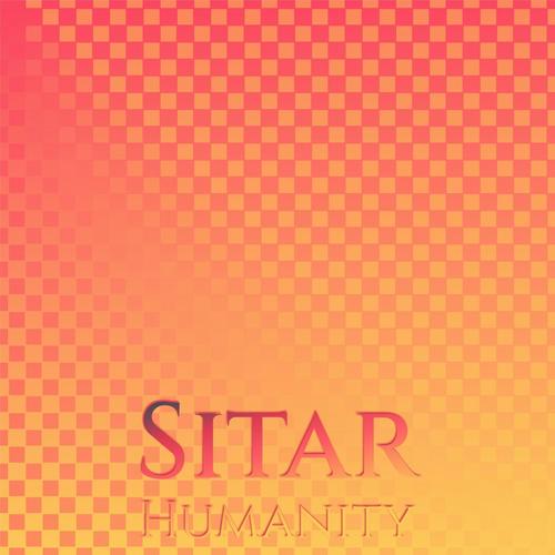 Sitar Humanity