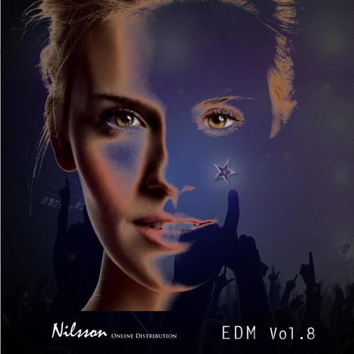 EDM, Vol. 8