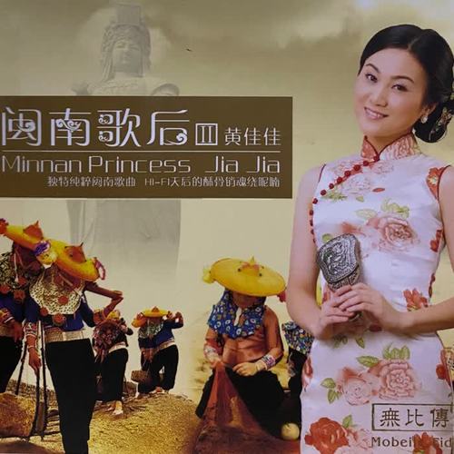黄佳佳-无声的查某人.flac 下载插图