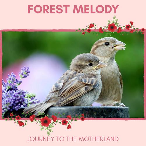 Forest Melody - Journey to The Motherland