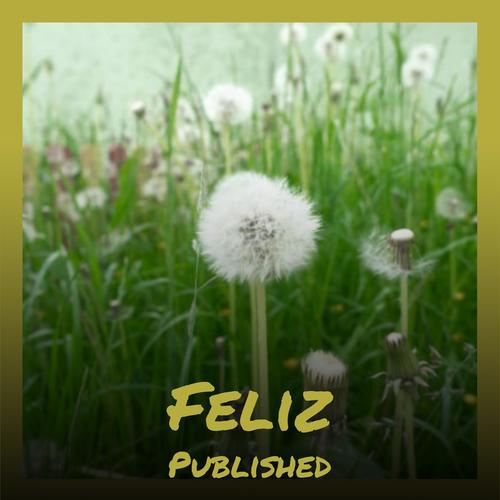 Feliz Published