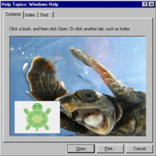 really happy turtle (Explicit)