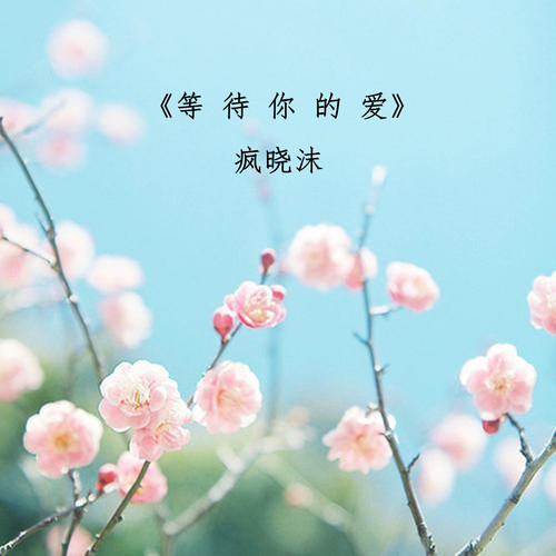 等待你的爱_疯晓沫_单曲在线试听_酷我音乐